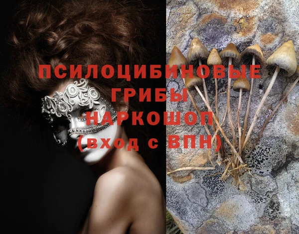 мяу мяу мука Новодвинск