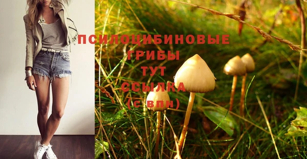 мяу мяу мука Новодвинск