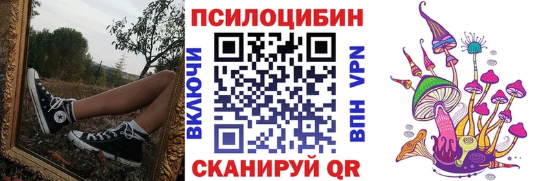 купить наркотики цена  Киселёвск  Псилоцибиновые грибы MAGIC MUSHROOMS 
